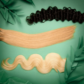 Extensiones naturales